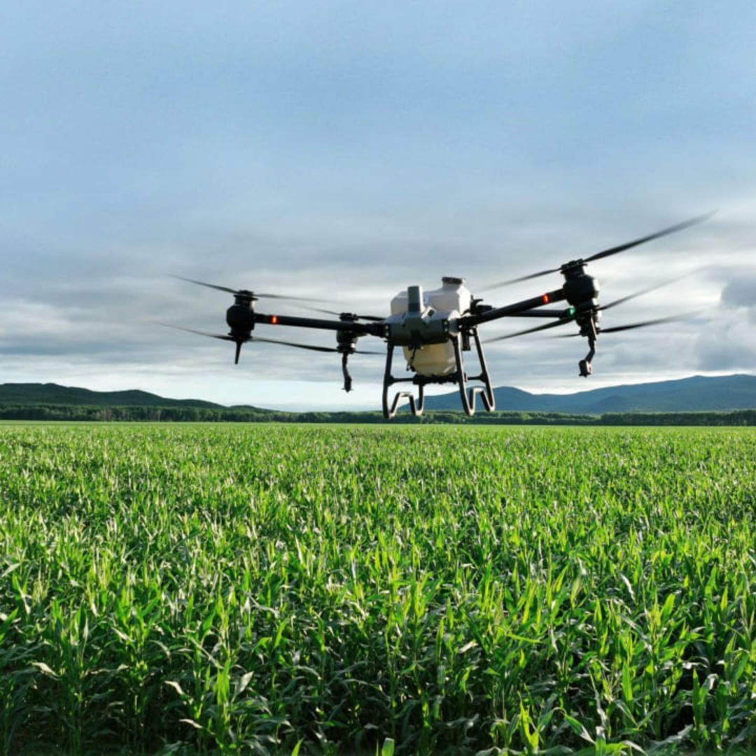Drone (1)